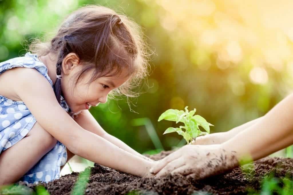 How to invest in ethical socially respoinsible way