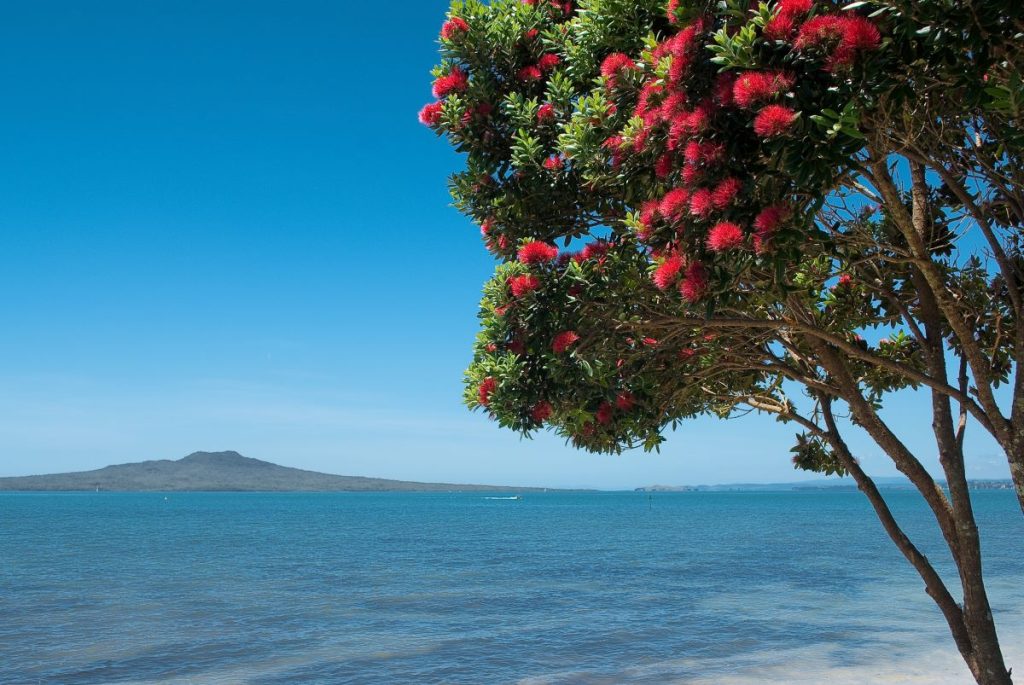 KiwiSaver to Australia: Your Complete Guide to Transferring and Maximising Benefits